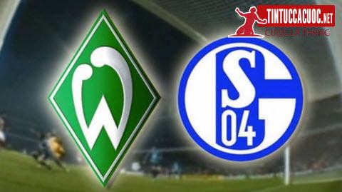 Nhận định trước trận đấu giữa trận Werder Bremen vs Schalke 04, 2h30 ngày 09/03/2019 1
